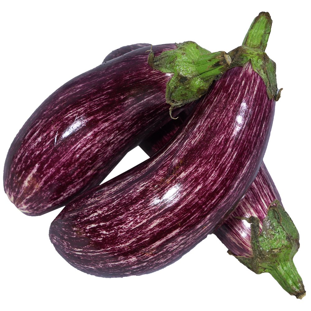 Патладжан шарен
