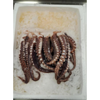 METRO Chef Пипала калмар сурови