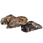 Стриди 1-6.5кг