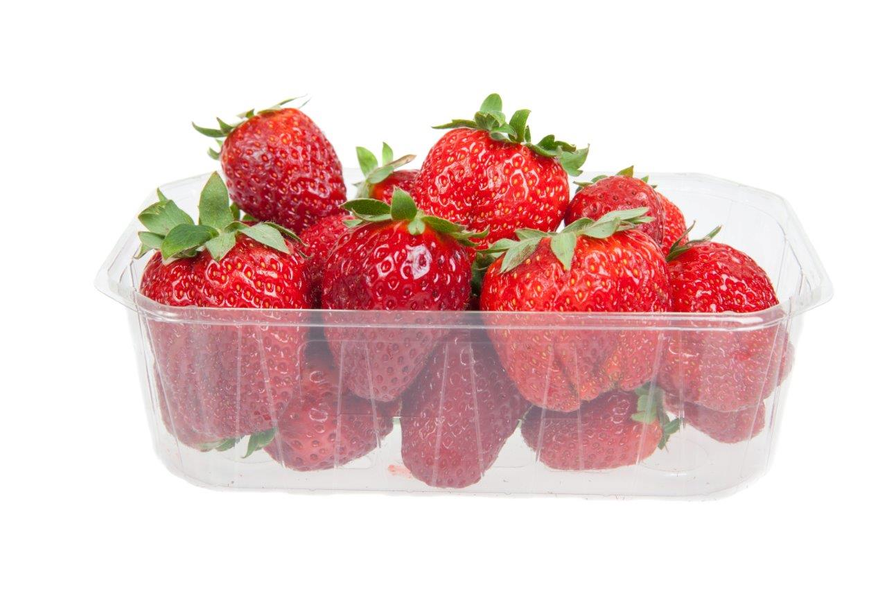 Jahody I. CZ čerstvé 500 g vanička