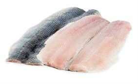 Sleď obecný filet 16-22 ks chlaz. váž. cca 1 kg