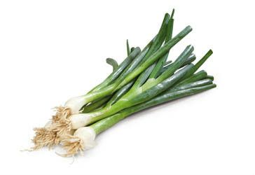 Cibulka lahůdková čerstvá 1 ks svazek