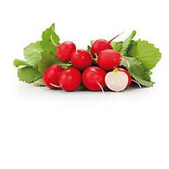 Ředkvičky červené čerstvé 1 ks svazek