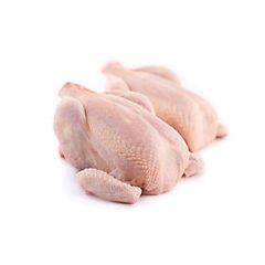 Kuře duo CZ chlaz. váž. cca 3 kg