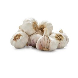 Česnek Elephant čerstvý 2,2 kg karton