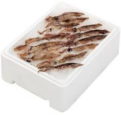 Kalamáry velké 4-7 ks chlaz. váž. cca 1 kg