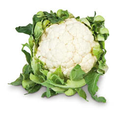 Květák bílý CZ čerstvý 6 ks