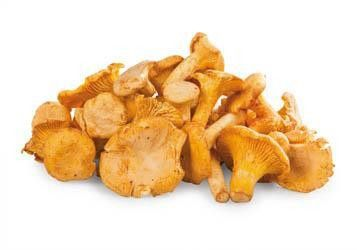 HOLOUBEK A PRAVNUCI Liška obecná 250 g