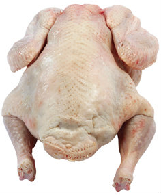 Krocan celý CZ chlaz. váž. cca 13 - 18 kg