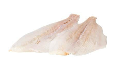 Halibut grónský filet chlaz. váž. cca 300 - 600 g