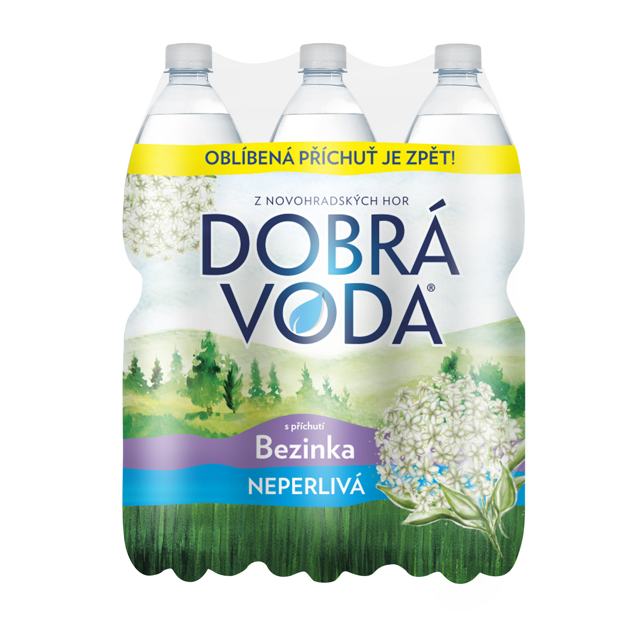 DOBRÁ VODA Ochucená bezinka neperlivá 6 x 1,5 l