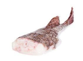 Ďas mořský bez hlavy chlaz. váž. cca 1 - 2 kg