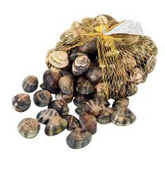 Tapeska Vongole 40-60 ks chlaz. váž. cca 1 kg