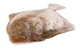 Kambala velká chlaz. váž. cca 0,8 - 1 kg