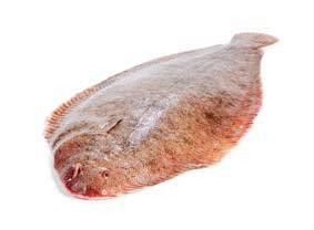 Jazyk mořský chlaz. váž. cca 400 - 600 g