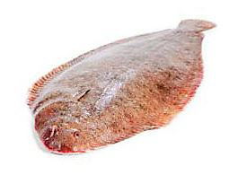 Jazyk mořský chlaz. váž. cca 0,6 - 1 kg