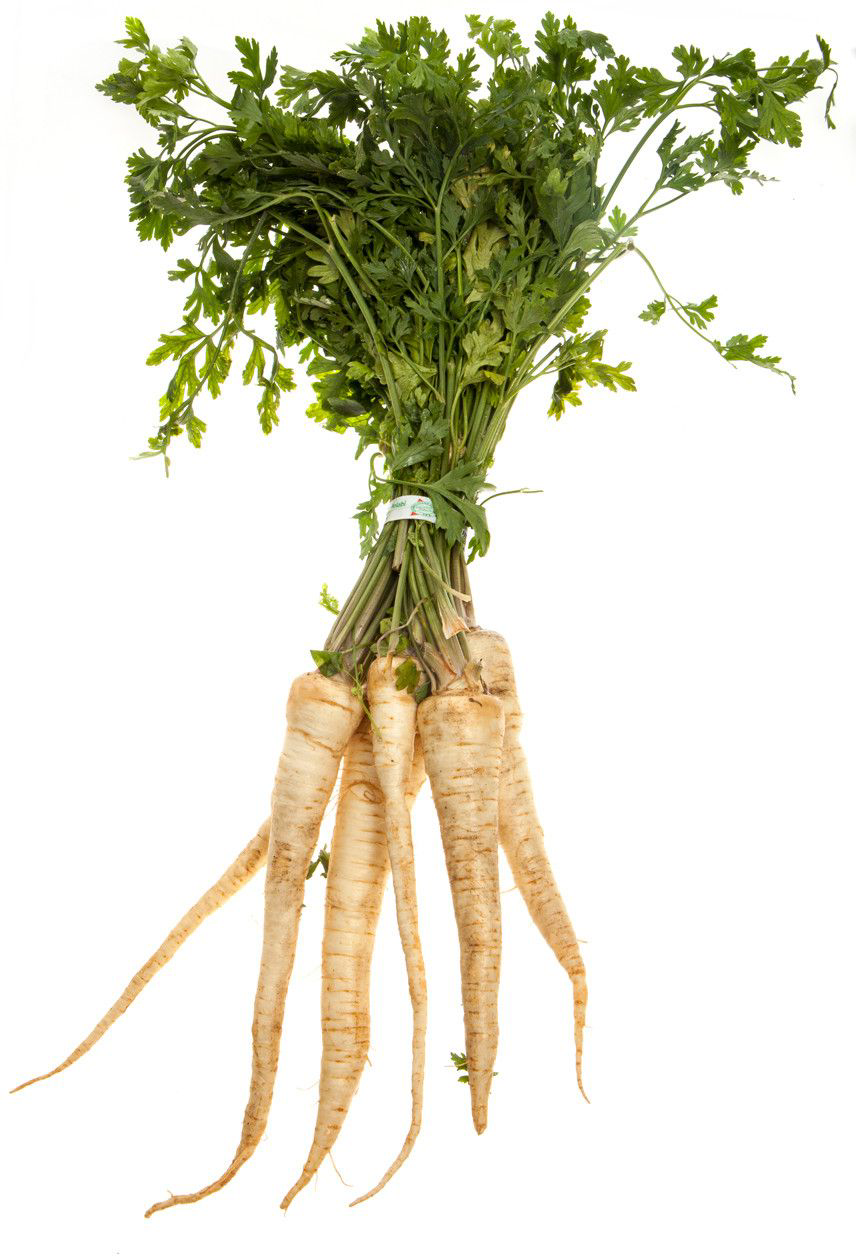 Petržel s natí CZ čerstvá 1 ks svazek