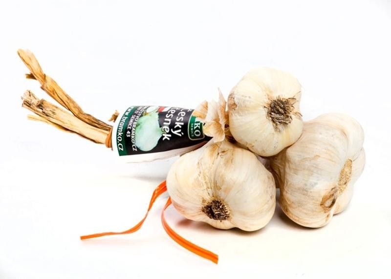 Česnek CZ čerstvý 300+ g svazek