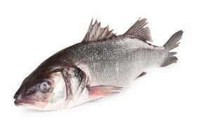 Vlk mořský nekuchaný chlaz. váž. cca 600 - 800 g