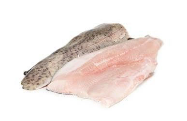 Pstruh duhový lososovitý filet chlaz. váž. cca 150 - 400 g