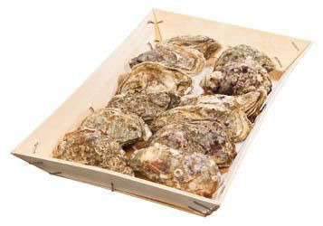 Ústřice velké Normandie N°1 chlaz. váž. 12 ks