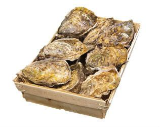 Ústřice velká Fines DC N°3 48 ks chlaz. váž. cca 1 kg