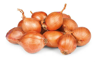 Cibule žlutá baby čerstvá 5 kg