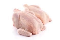 Kuře s rodokmenem chlaz. váž. cca 1,5 kg