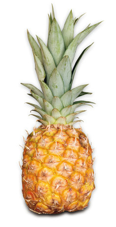Ananas baby Eat me čerstvý 1 ks