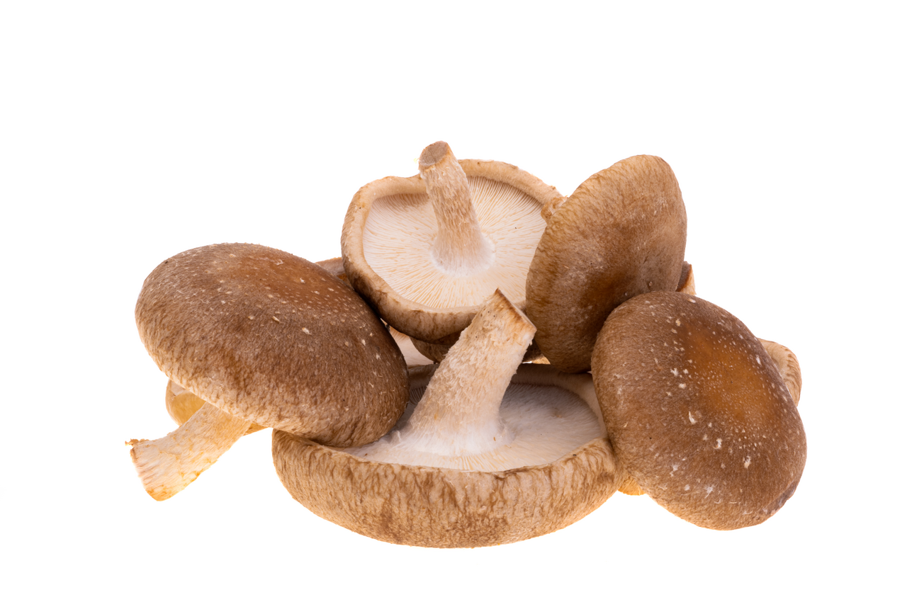 HOLOUBEK A PRAVNUCI Shiitake čerstvá CZ 200 g vanička