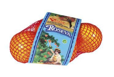Pomeranče Vale Late 4/5 čerstvé 20x 1 kg