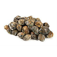 Tapeska filipínská chlaz. váž. cca 3 kg