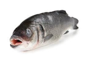 Vlk mořský bez šupin chlaz. váž. cca 250 - 350 g