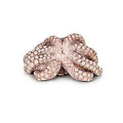 Chobotnice obecná chlaz. váž. cca 0,5 - 1 kg