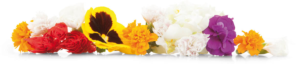 Jedlé květy mix chlaz. 40 g vanička