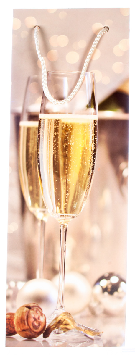 Flexio Taška dárková B na láhev 209186 1 ks