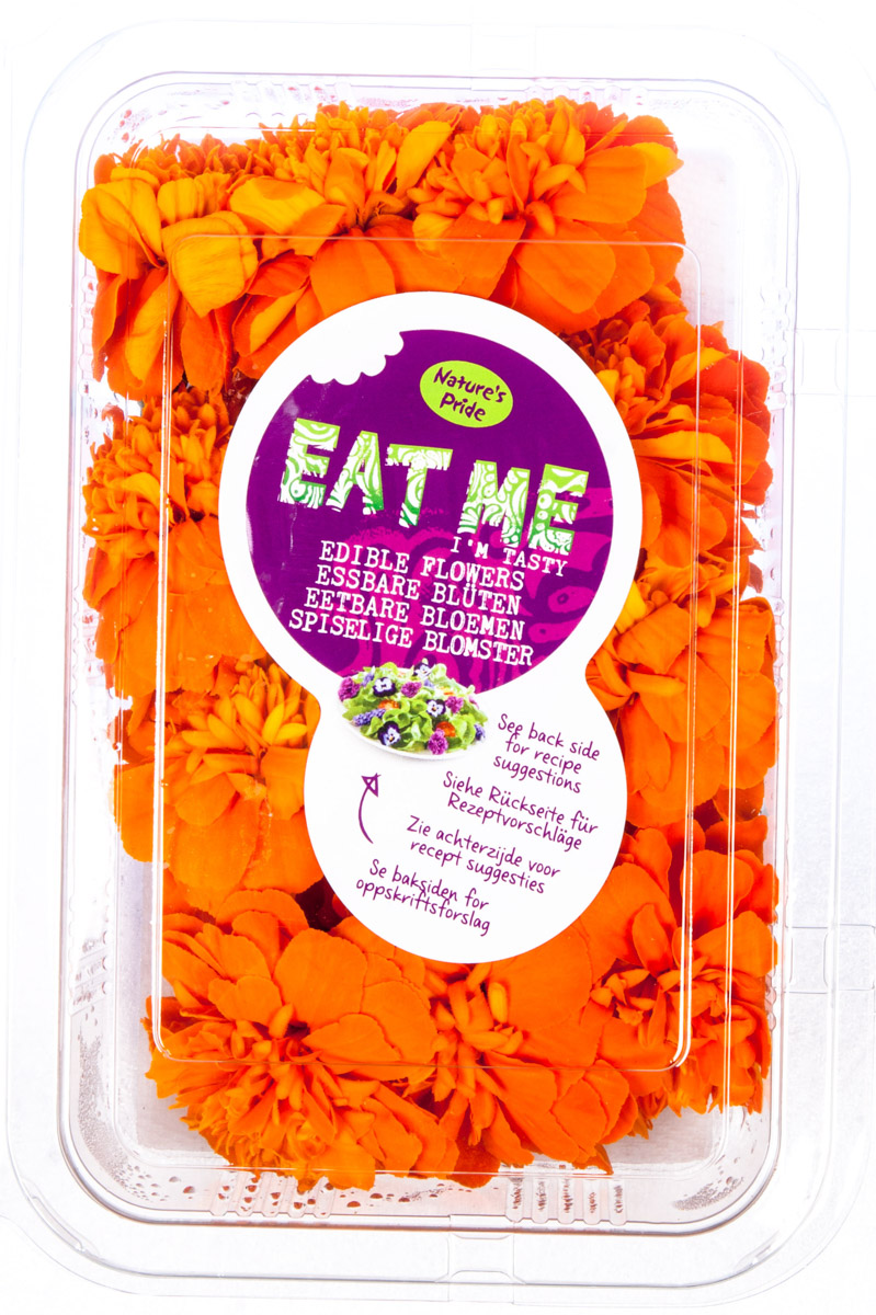 Jedlé květy Axamitník chlaz. 28 g vanička