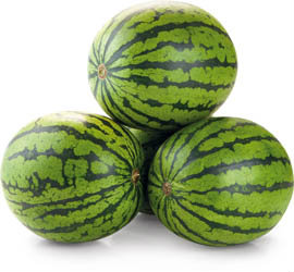 Meloun vodní semenný 6/13 GR čerstvý váž. 400 kg box