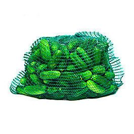 Okurky nakládačky 10/ 13 cm CZ čerstvé 10 kg