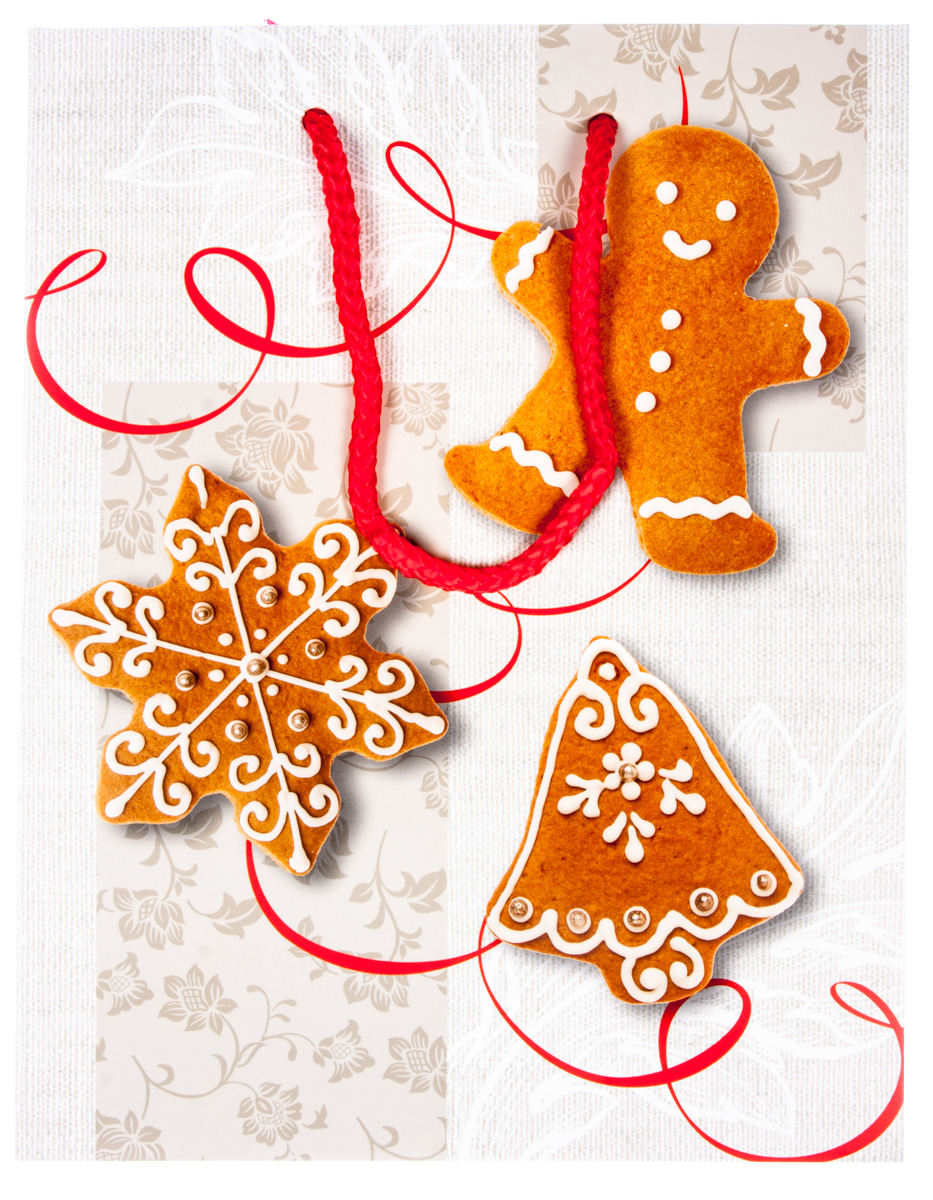 Flexio Taška dárková Christmas M-208957 1 ks