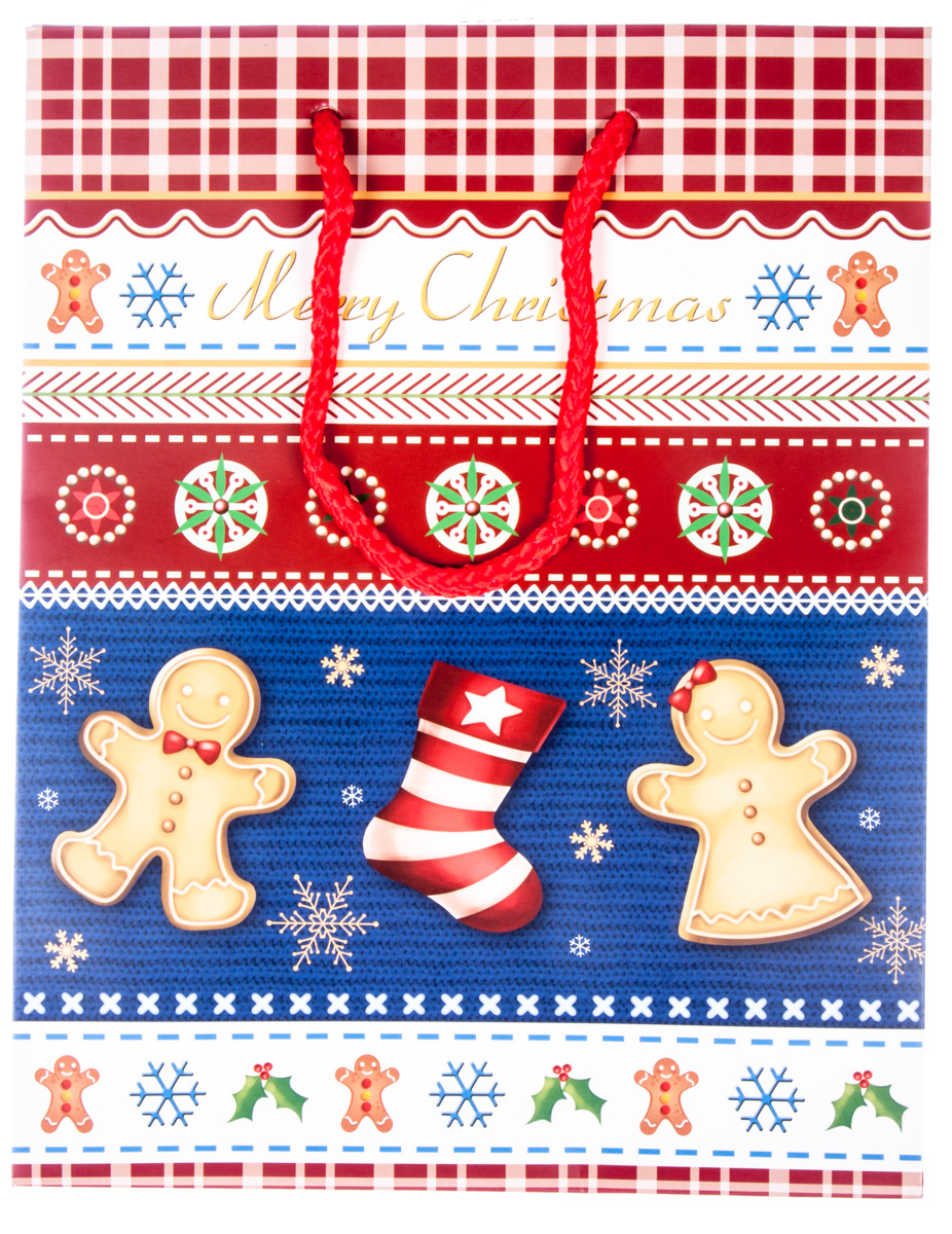 Flexio Taška dárková Christmas M-220265 1 ks