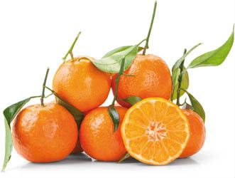Mandarinky Clemenru s lístky 1/3 I. čerstvé 5,5 kg