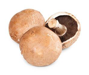 HOLOUBEK A PRAVNUCI Žampiony Portobello Polsko čerstvé 400 g vanička