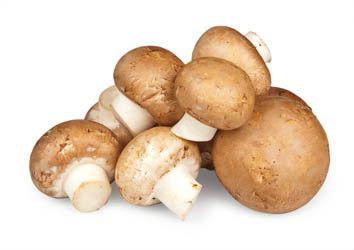 HOLOUBEK A PRAVNUCI Žampiony hnědé mini 30mm I. čerstvé 1 kg