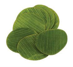 Banánové listy dlouhé TH čerstvé 500 g