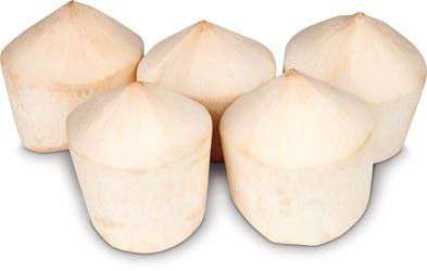 Kokos mladý bílý 750g+ čerstvý 1 ks