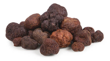 HOLOUBEK A PRAVNUCI Lanýž černý podzimní IT chlaz. 50 g