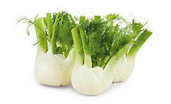 Fenykl baby čerstvý 200 g tácek