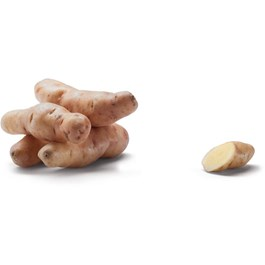 Brambory konzumní Corne de Gate FR čerstvé 1 kg