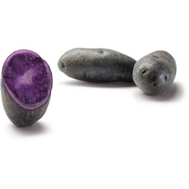 Brambory konzumní Prunelle Blaue FR čerstvé 1 kg